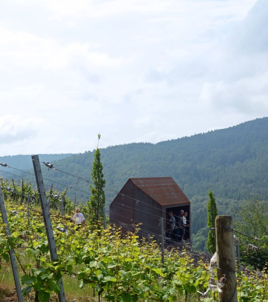 Magischer Ort des Frankenweins: Terroir f Alzenau-Hörstein