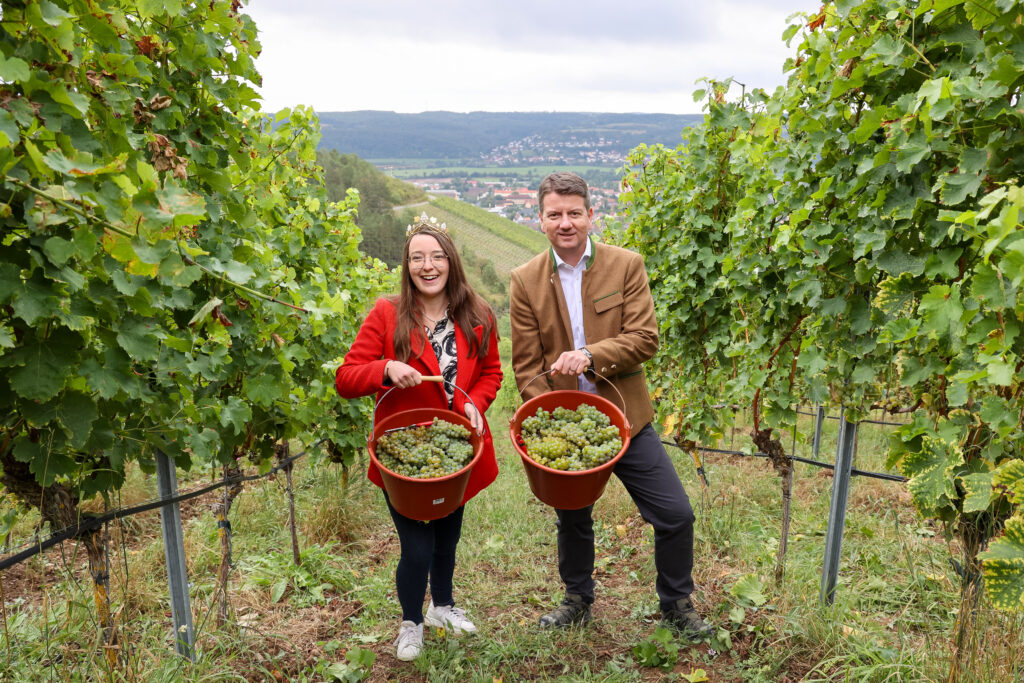 foto 2 die fraenkische weinkoenigin und staatssekretaer sandro kirchner praesentieren ihr lesegut. foto rudi merkl fraenkischer weinbauverband 1